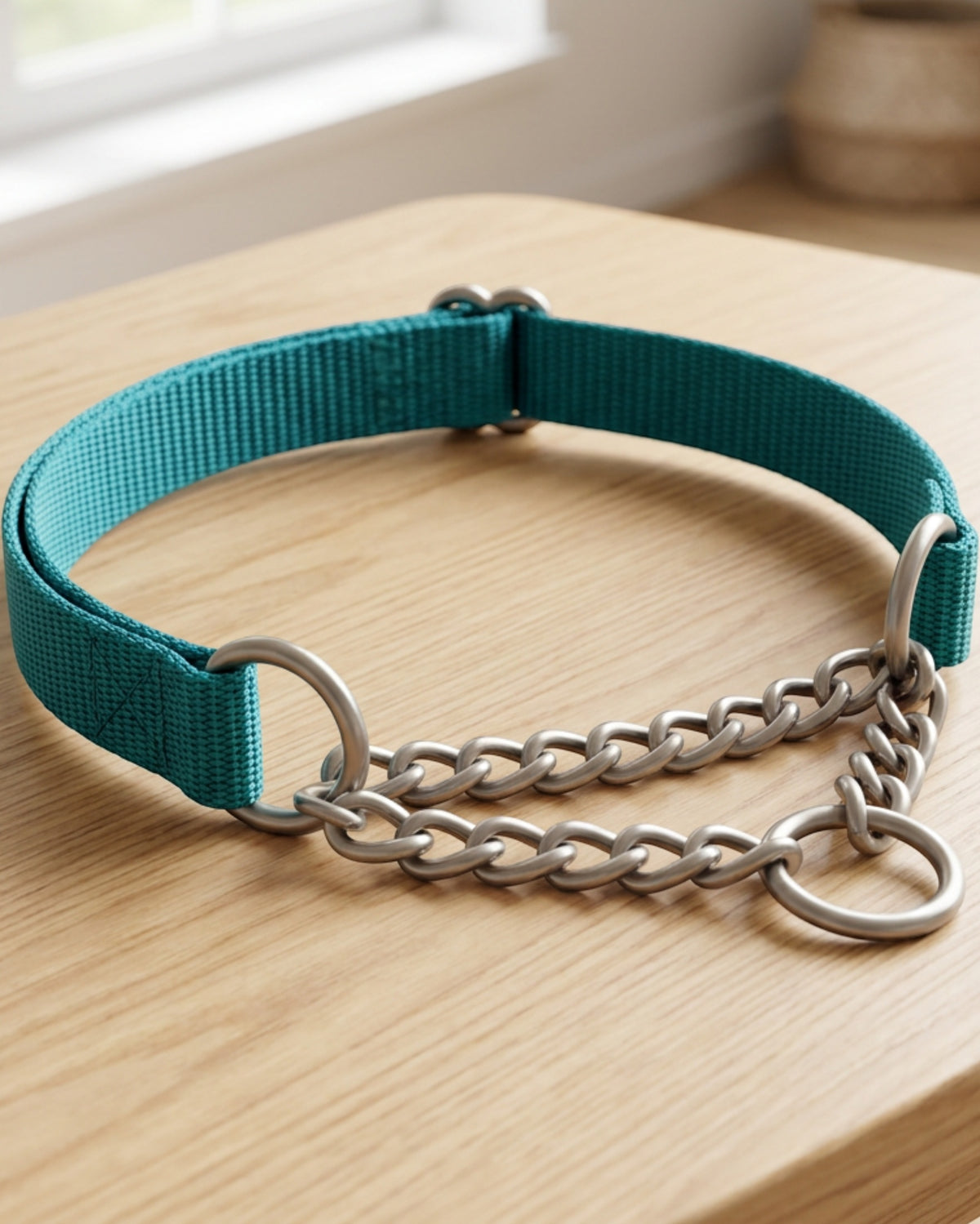 Okly Chain-Limited Pet Collar 36-50 cm Teal Stainless Steel - Lifestyle view