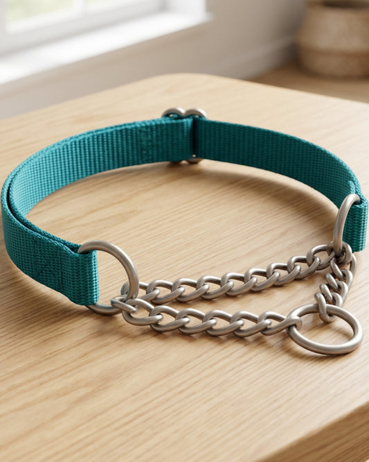 Okly Chain-Limited Pet Collar 36-50 cm Teal Stainless Steel - Lifestyle view